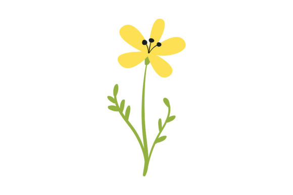 Flower Blooming Floral Graphics and Illustrations Review