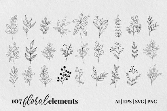 Hand Draw Floral Elements: Premium Graphics & Illustrations for Local Brands