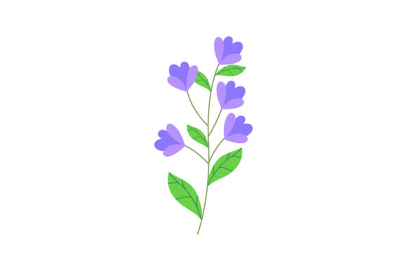 Spring Floral Blossom Plant Graphics and Illustrations Review