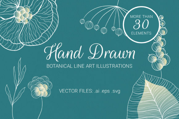 Vector Floral and Botanical Elements: A Review for Graphics Sellers
